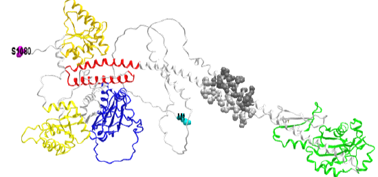 Histidine kinase 4 - Cytokinin receptor 1 (CRE) from Arabidopsis thaliana - PfamDomain organization (Q9C5U0).png