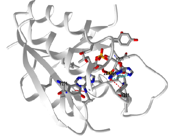 Saureus Universalstressprotein (USP)domainKdpD_Hkinase_c-di-AMP (7JI4).png