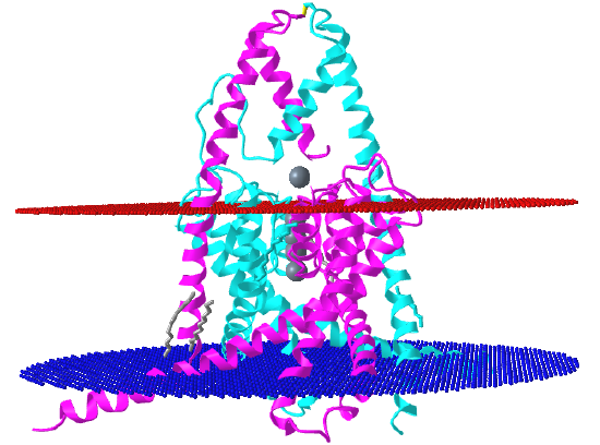 mouse K2P2.1 (TREK-1) potassium channels (6W84).png