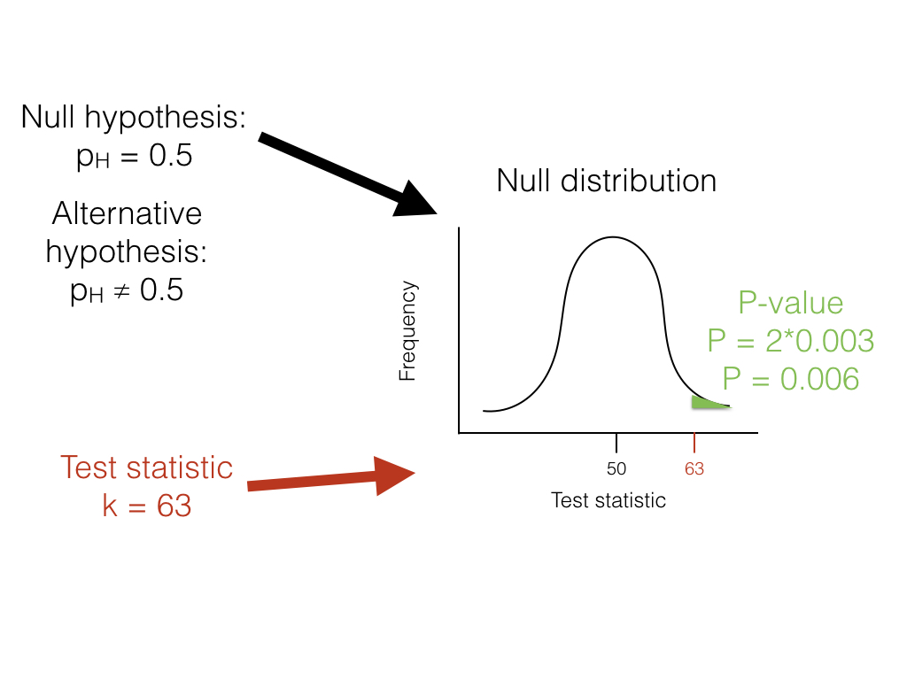 Figure 2.1. The unfair lizard. We use the null hypothesis to generate a null distribution for our test statistic, which in this case is a binomial distribution centered around 50. We then look at our test statistic and calculate the probability of obtaining a result at least as extreme as this value. Image by the author, can be reused under a CC-BY-4.0 license.