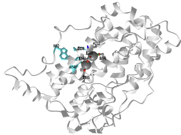 Stearoyl-acyl-carrier protein desaturase from castor seeds (1afr).png
