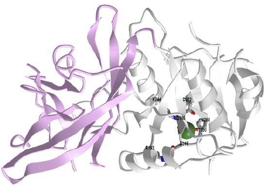 TetrahymenaT_lipin-PA phosphatase Mg(6TZZ).png
