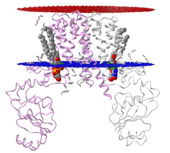 PIPsynthase with bound CDP-DAG from Renibacterium Salmoninarum (5D92).png
