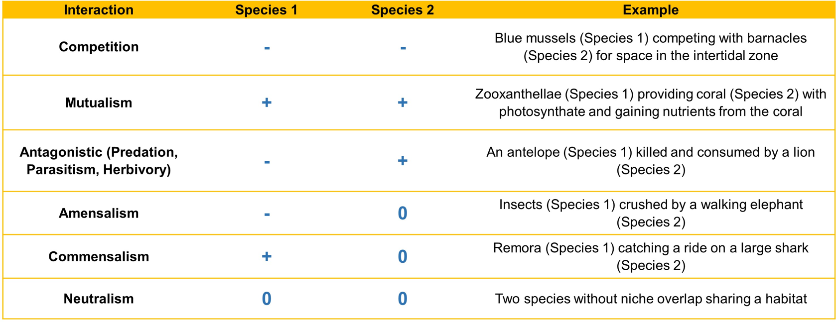 A table shows types of interactions, the effects on each of the two species interacting, and an example. Competition has a negative effect on both species and the example is blue mussels competing with barnacles in the intertidal zone. Mutualism has a positive effect on both species, and the example is zooxanthellae providing coral with photosynthate and gaining nutrients from the coral. Antagonistic interactions, including predation, parasitism, and herbivory have a negative effect on one species and a positive effect on the other. The example is antelope being killed and consumed by a lion. Amensalism has a negative effect on one species and a neutral effect on the other, exemplified by insects that are crushed by a walking elephant. Commensalism benefits one species with no effect on the other. The example is Remora catching a ride on a large shark. Neutralism has no effect on either species, as is the case with two species without niche overlap that share a habitat.