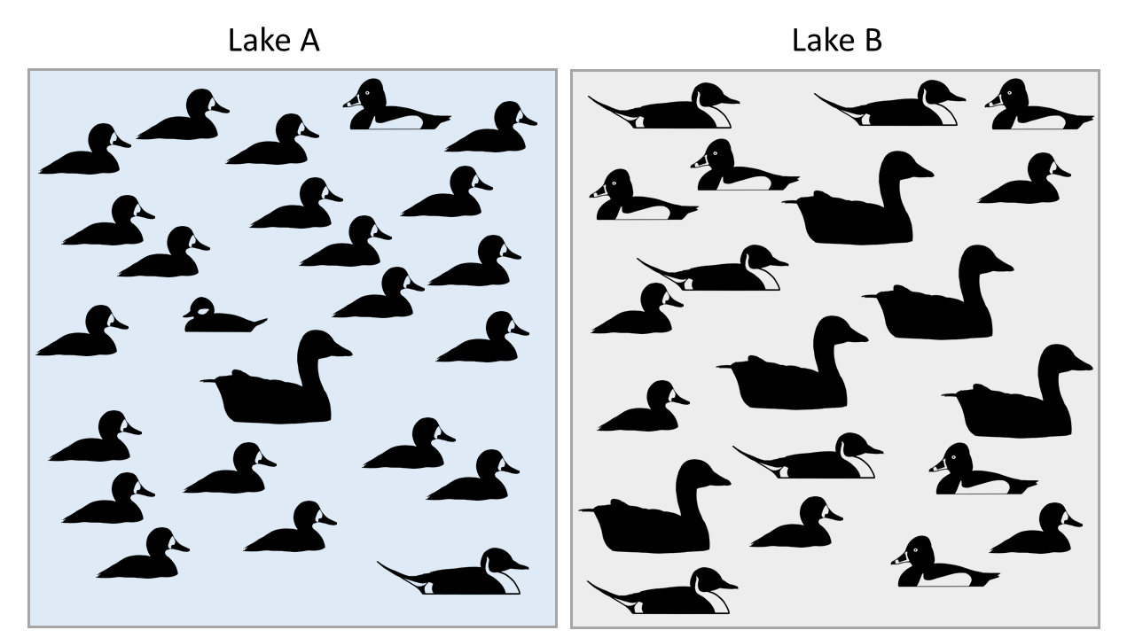 Two lakes both have 25 total birds, with five different species in each lake. In Lake A, three of the bird species only have one bird from each species, while the other 21 birds are from the fifth species. In Lake A, each of the five species has five individuals from each species.