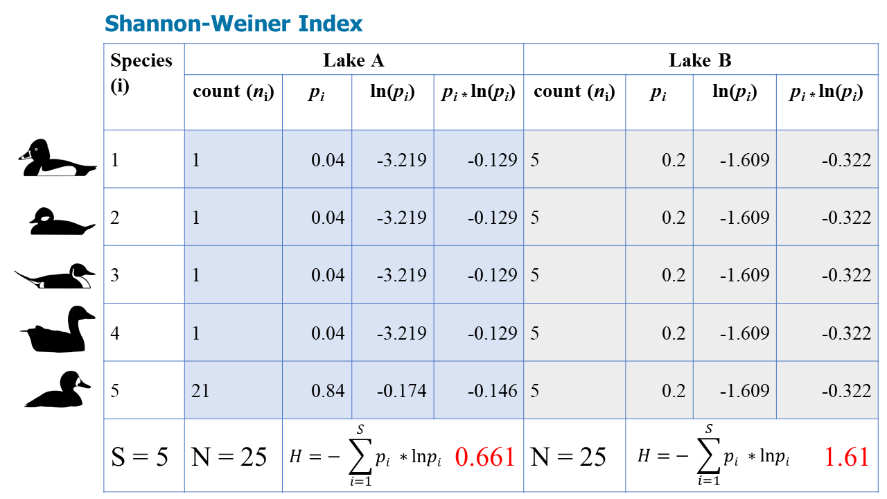 The Shannon-Weiner Index is used to calculate H for Lakes A and B. For Lake A, H = 0.661 and for Lake B, H = 1.61.