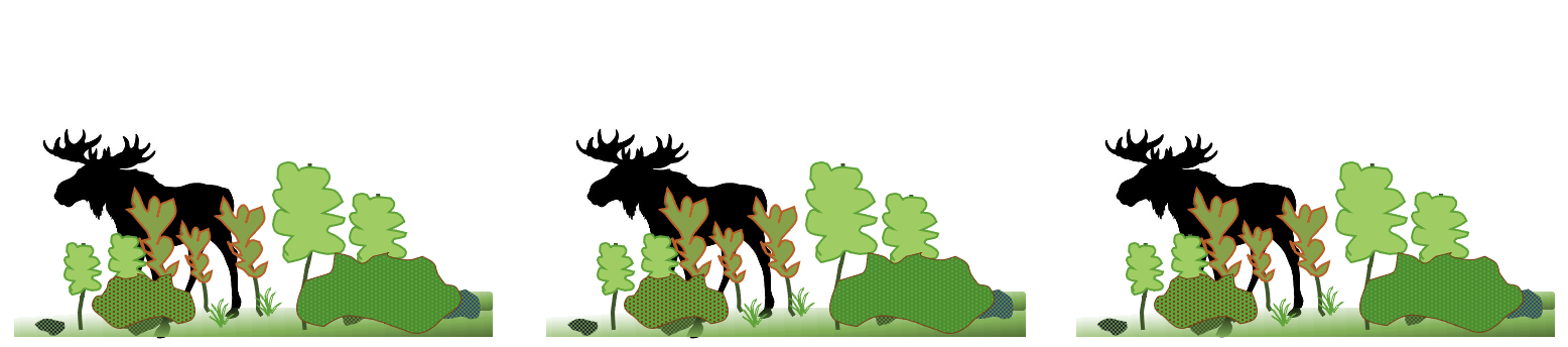 Three identical panels show a moose among short scrubby plants.