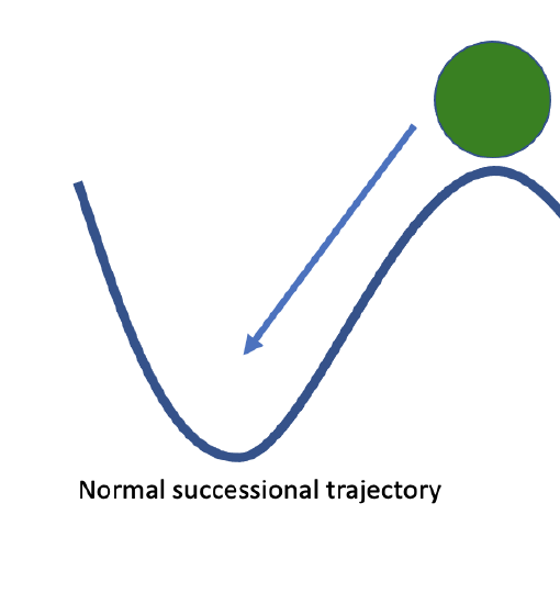 A green ball rolls down a slope into a valley to the left following an arrow labeled Normal Successional Trajectory.