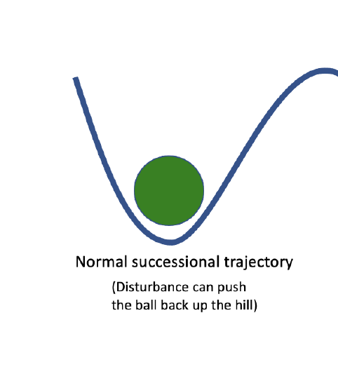 A green ball sits in a valley labeled Normal successional trajectory, disturbance can push the ball back up the hill.