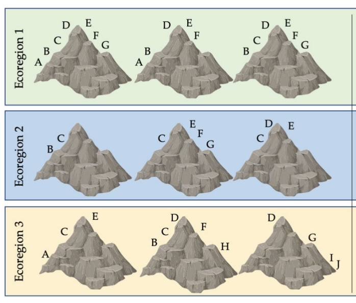 Three panels show three ecoregions with three rocky peaks in each region. In Ecoregion 1 the first peak shows species A, B, C, D, E, F, and G. The second peak shows species A, B, D, E, and F. The third peak shows species B, C, D, E, F, and G. In Ecoregion 2 the first peak shows species B and C. The second peak shows species C, E, F, and G. The third peak shows species C, D, and E. In Ecoregion 3 the first peak shows species A, C, and E. The second peak shows species B, C, D, F, and H. The third peak shows species D, G, I, and J.
