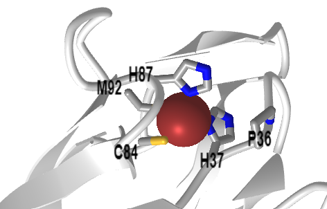 3D molecular model showing protein structure with labeled atoms, including a central red sphere representing a metal ion.