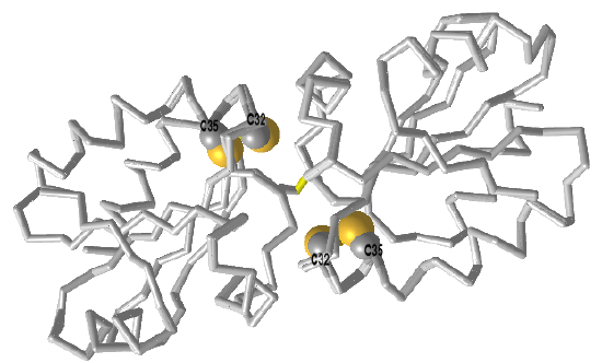 Comparison of the structures of oxidized (1ERU) and reduced (1ERT) human thioredoxin.png