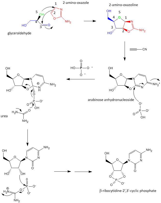 abioticCsynthesis2.gif