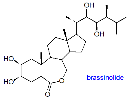 Formula of a brassinolide