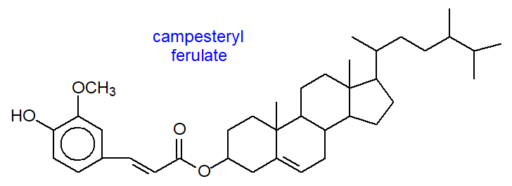 Formula of campesteryl ferulate