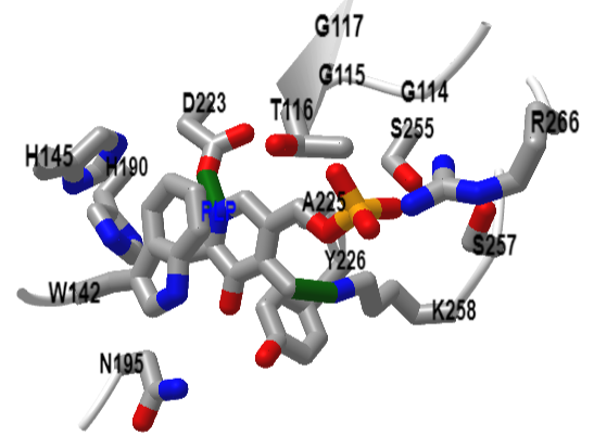 Active site of aspartate transaminase from E. Coli with PLP (1aam).png