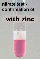 nitrate reduction negative produces a pink color when zinc powder is added