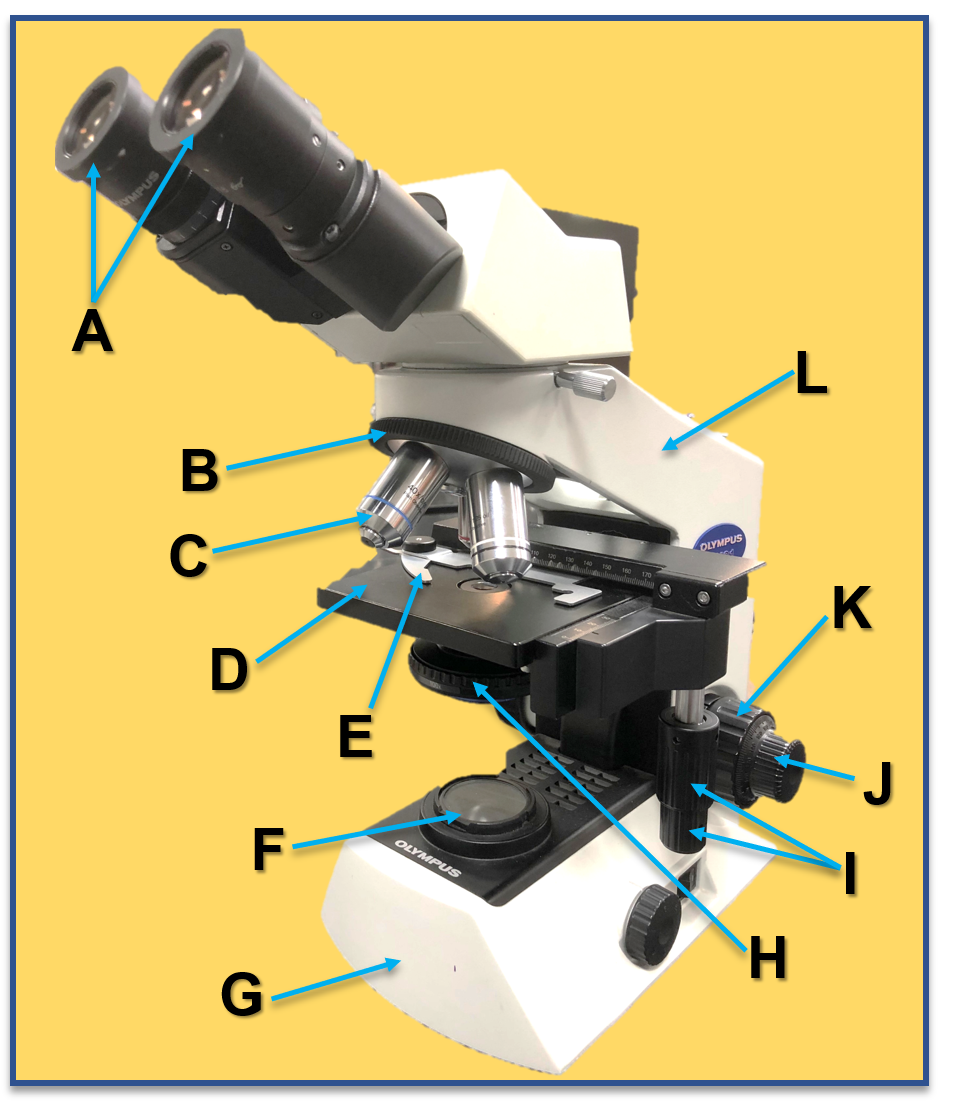 Lab microscope for labeling