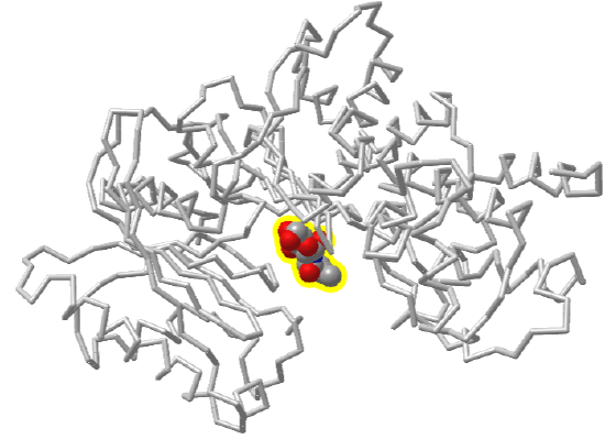 yeast hexokinase PI in in the absence (2YHX) and presence (3B8A) of glucose .png