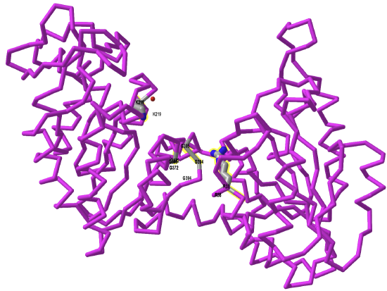 alignment open human phosphoglycerate kinase (2XE7) with the closed (2WZB).png