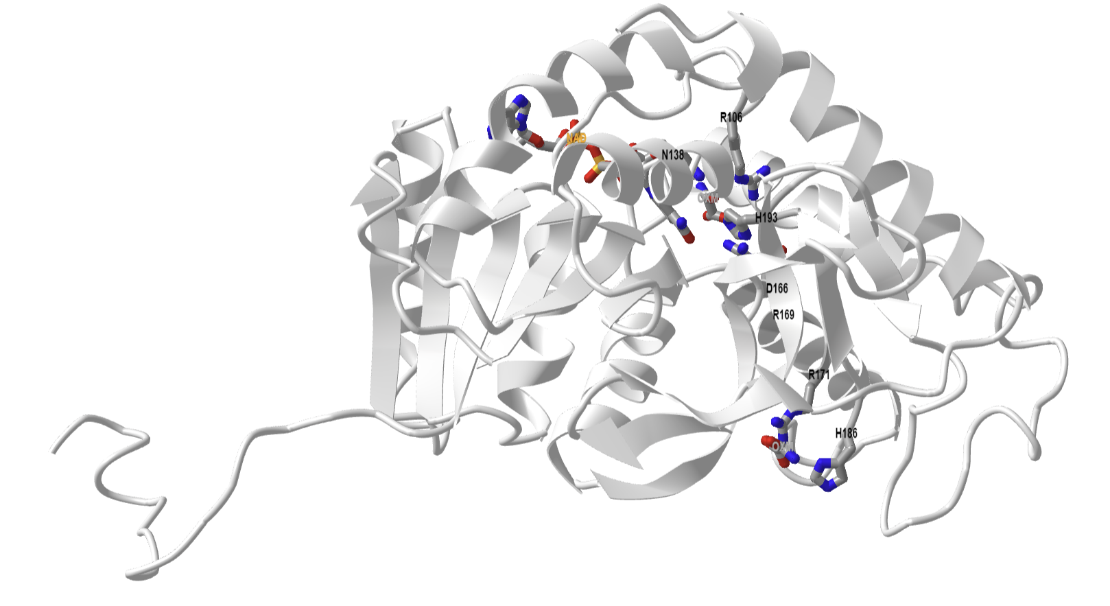 Dogfish M4 apo-lactate dehydrogenase (1LDM).png