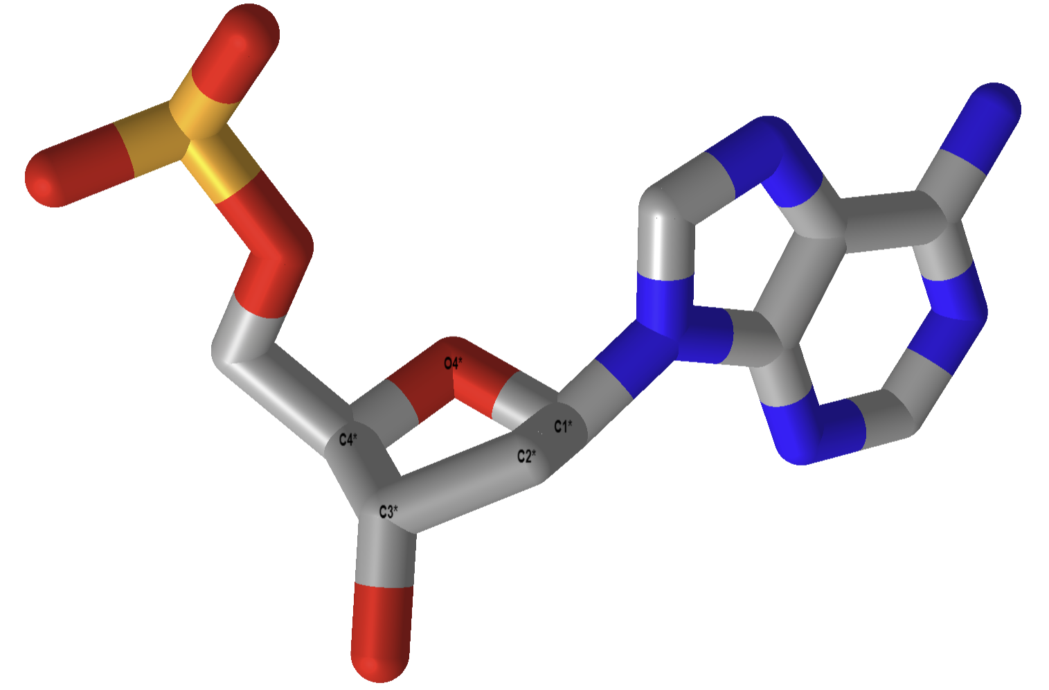 C'2 endo ribose, 1BNA (B-DNA).png