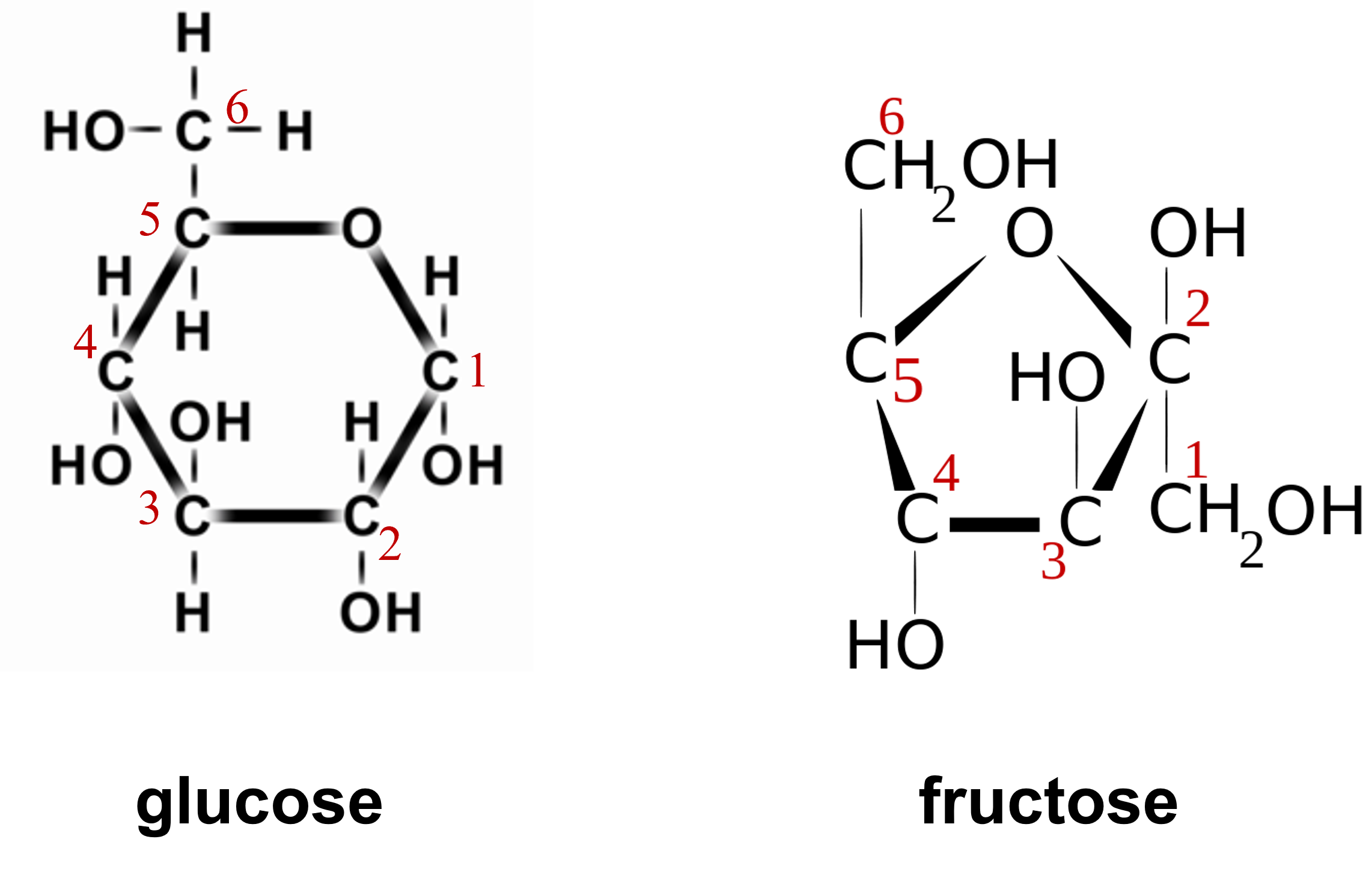 glucose and fructose chemical structures