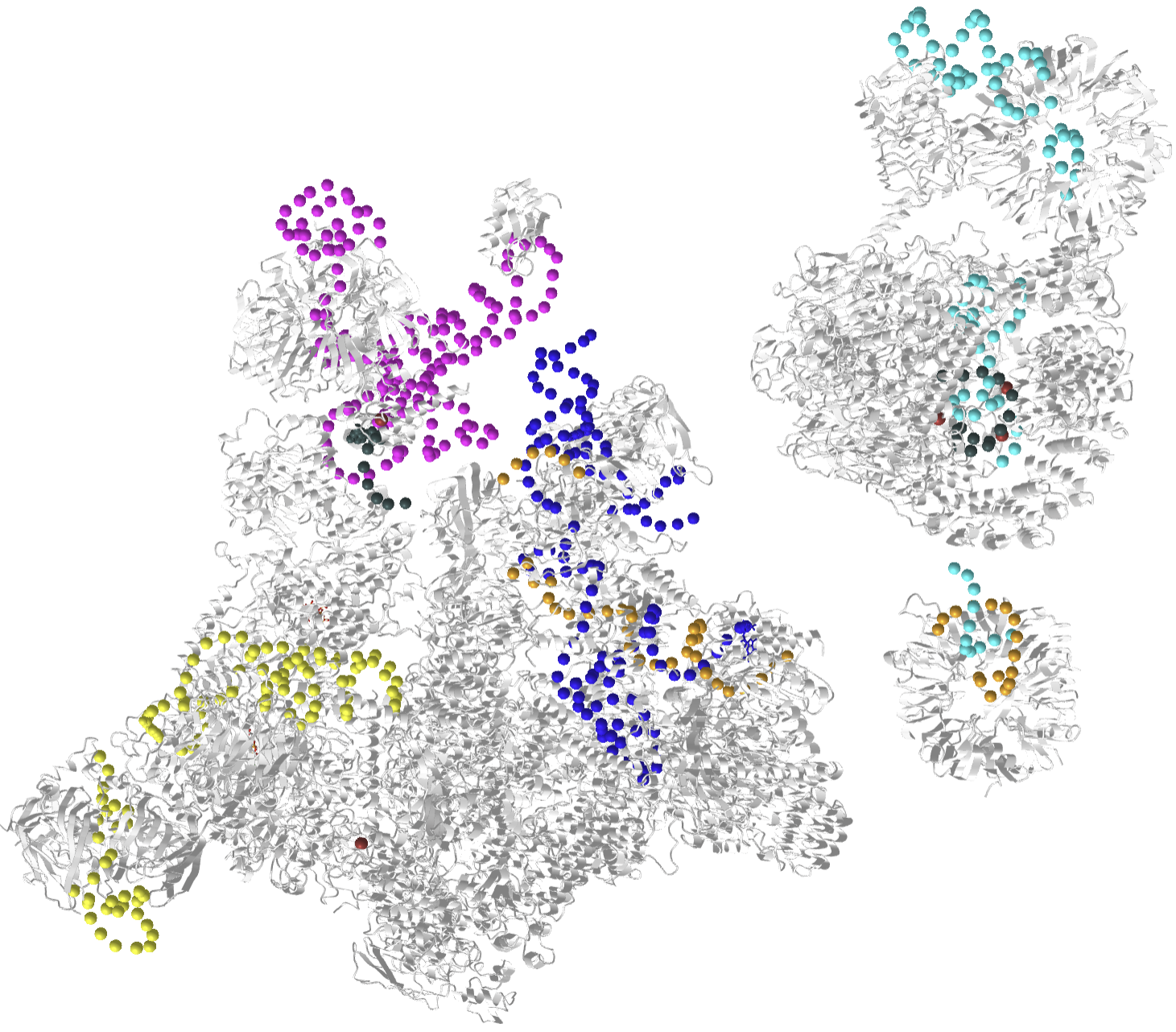 human fully-assembled precatalytic spliceosome (pre-B complex) (6QX9).png