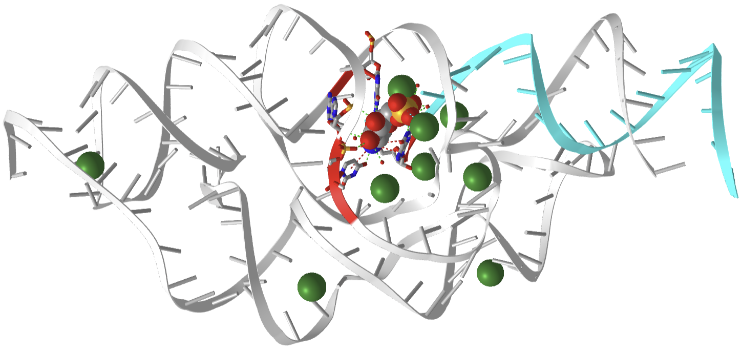 GlmS ribozyme bound to glucosamine-6-phosphate (2Z75).png