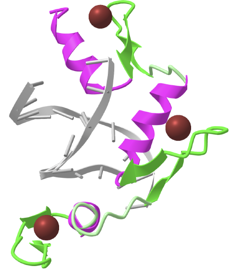 Klf4 zinc finger DNA binding domain in complex with methylated DNA(4m9e).png