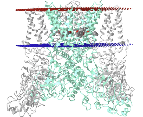 CBD-bound full-length rat TRPV2 in nanodiscs (6U88).png