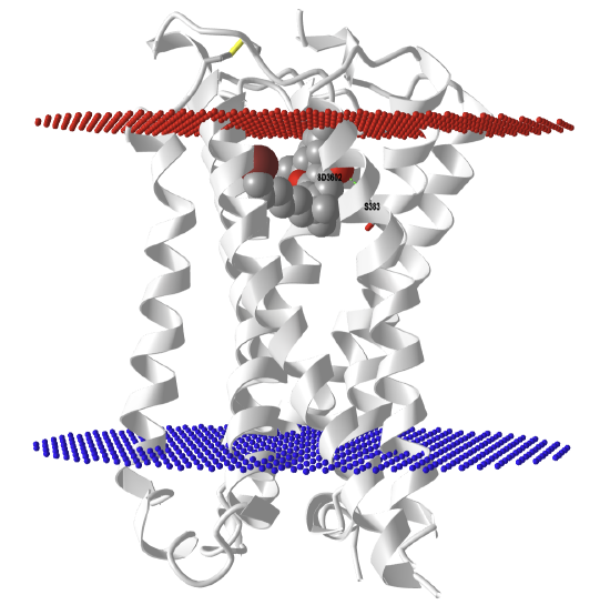 Human CB1 in complex with agonist AM11542 (5XRA).png
