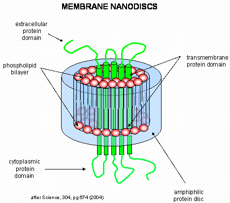 membranediscsppt.gif
