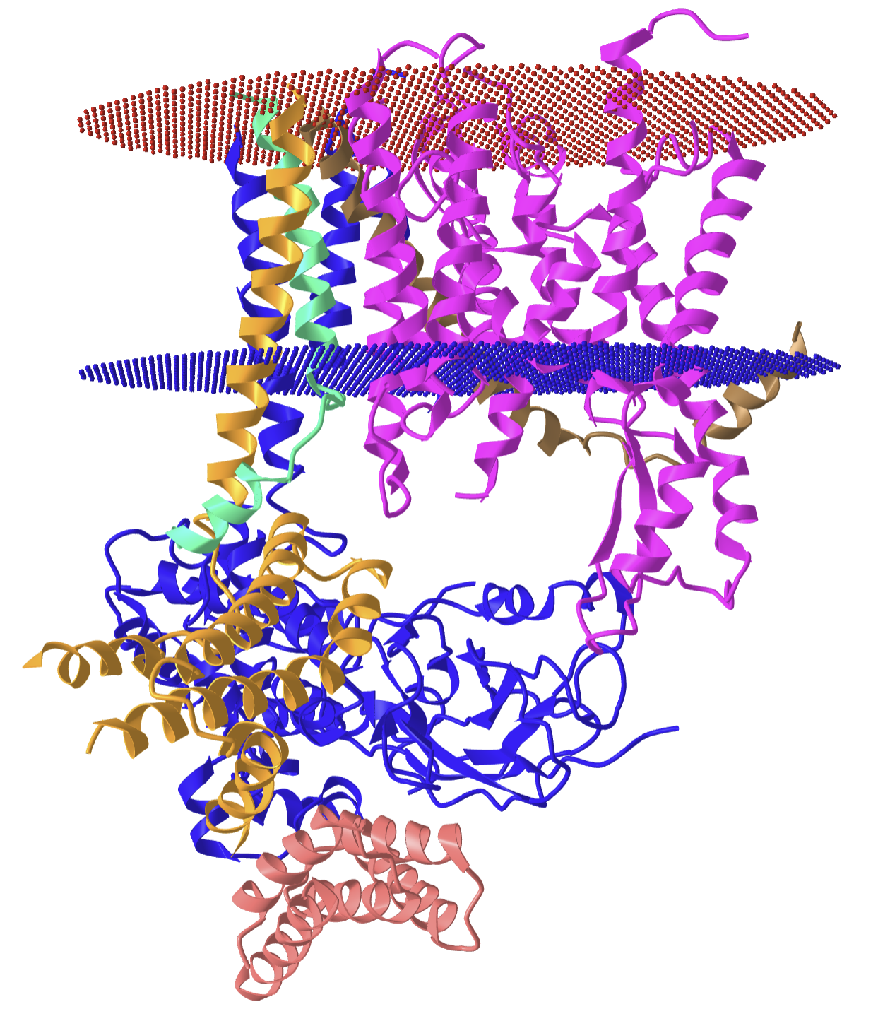 Sec Complex from yeast (6ND1).png