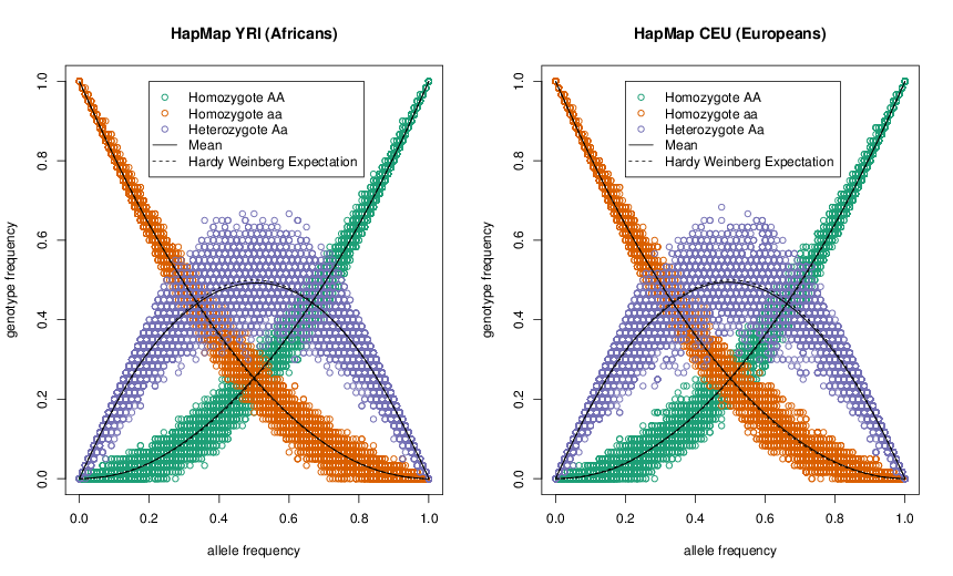 Демонстрація пропорцій Харді — Вайнберга за допомогою 10,000 SNP з європейського (CEU) та африканського (YRI) населення HapMap. У кожній з цих популяцій частота алелів проти частоти генотипів 3; кожен SNP представлений 3 різними кольоровими точками. Суцільні лінії показують середню частоту генотипу. Пунктирні лінії показують прогнозовану частоту генотипу з рівноваги Харді — Вайнберга. Повідомлення в блозі на малюнку тут.
