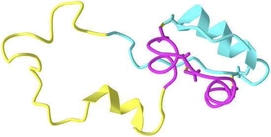 human proinsulin (2KQP).png