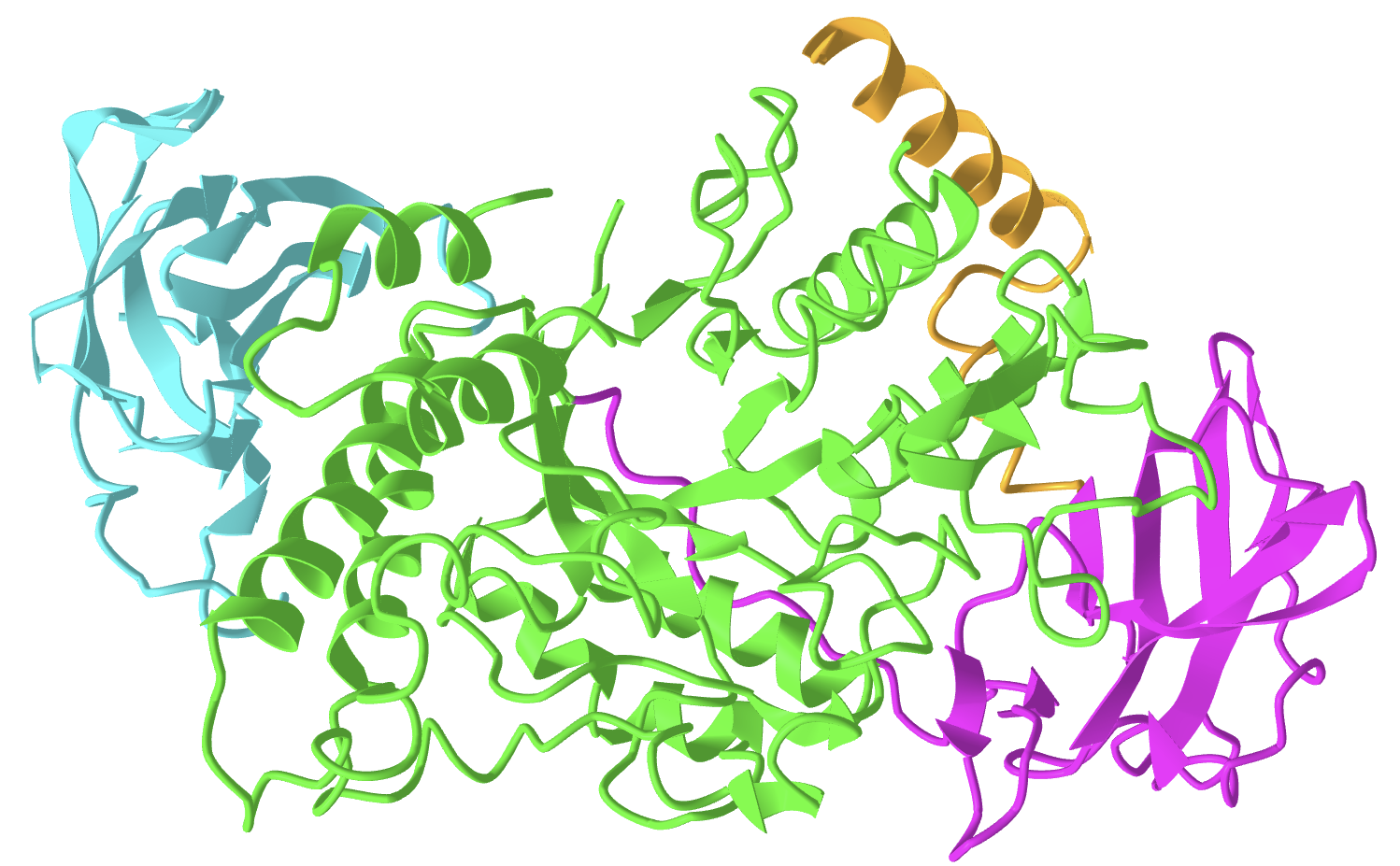 human glycogen branching enzyme (GBE1).png