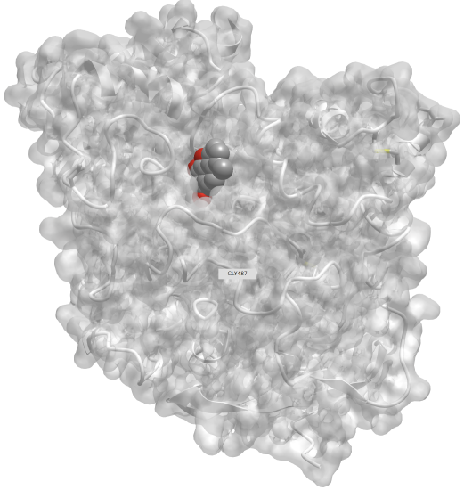 human acetylcholinesterase in complex with peripheral site inhibitor dihydrotanshinone I (4M0E).png