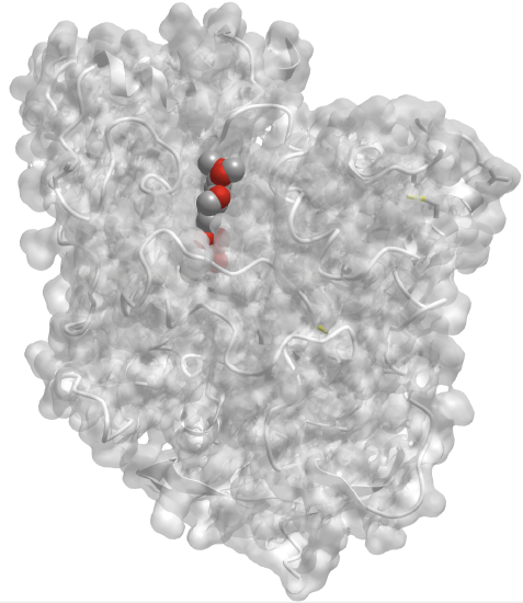 Structure of human acetylcholinesterase in complex with peripheral and active site-spanning inhibitor territrem B (4M0F).png