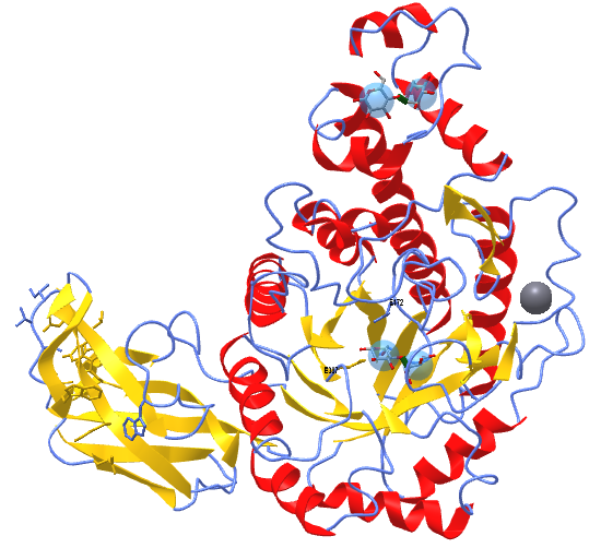 Beta-amylase from Bacillus cereus var. mycoides in complex with maltose (1J0Z).png