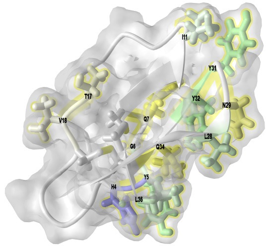 C-terminal domain of cellobiohydrolase I from Trichoderma reesei (2CBH).png