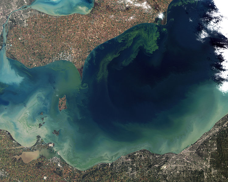750px-Toxic_Algae_Bloom_in_Lake_Erie.jpg