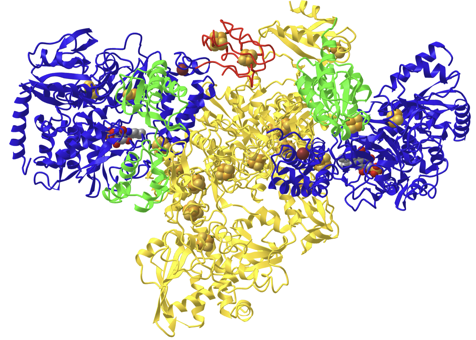 electron-bifurcating FeFe hydrogenase from Thermotoga maritima (HydABC) (7P5H).png