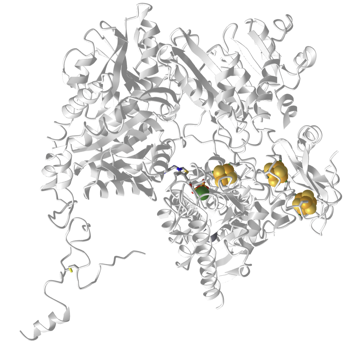 pyruvate ferredoxin oxidoreductase (PFOR) from Desulfocurvibacter africanus in anaerobic conditions (7PLM).png