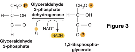 clipboard_ebfb23477ff63f7037497a0b08cd3274f.png