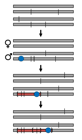 Behaviorism_1.gif