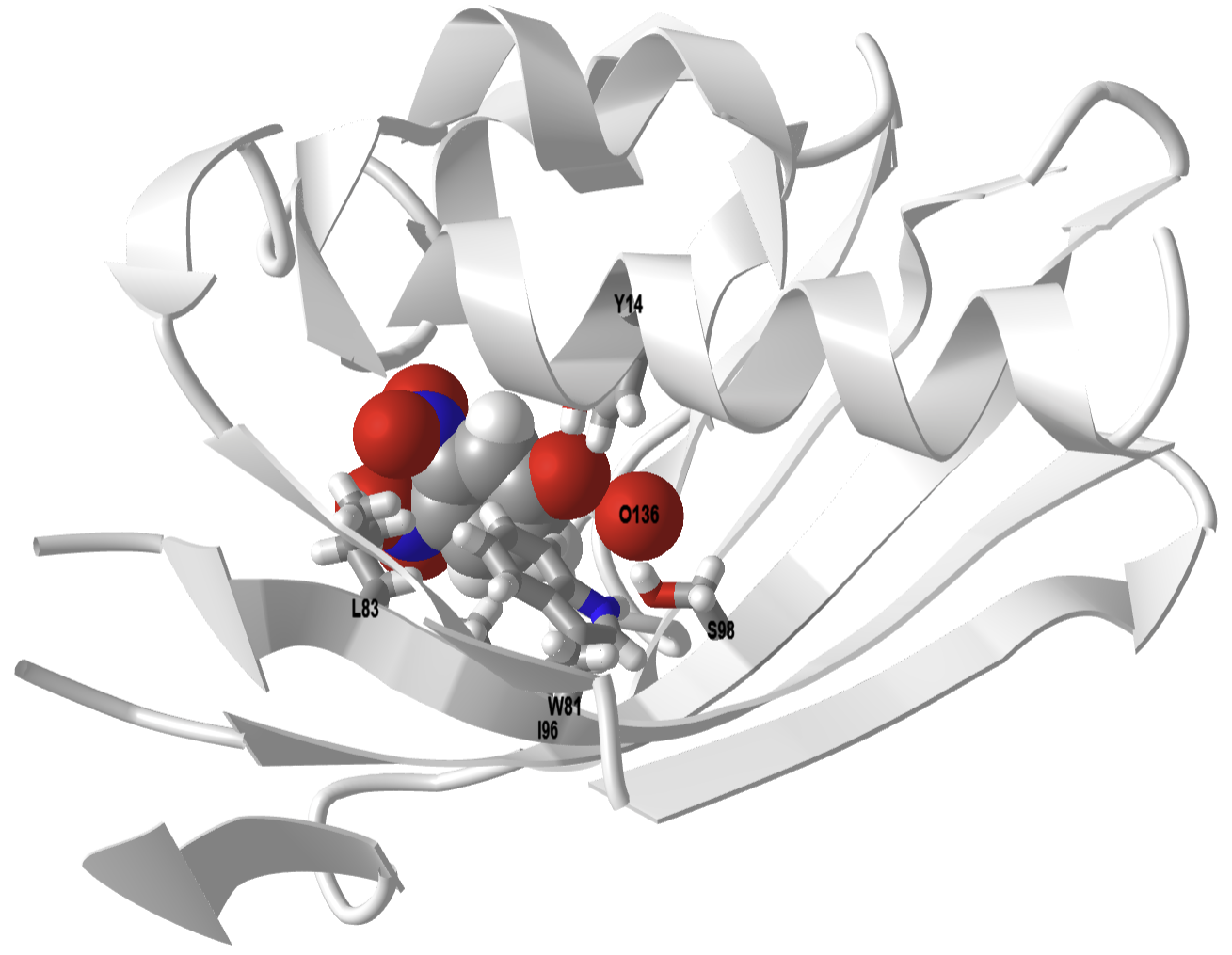 Thermophilic Ketosteroid Isomerase D38N mutant (monomer) from Mycobacterium hassiacum (mhKSI) bound to 3,4-dinitrophenol (6P44).png