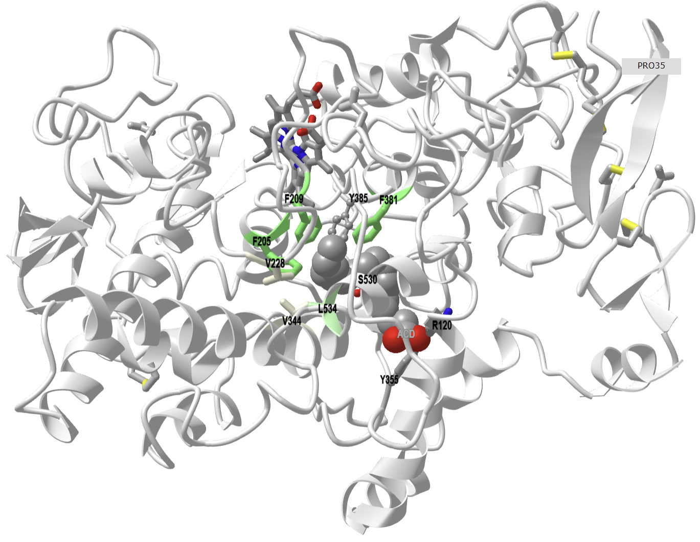 Mouse COX-2 with bound arachidonic acid (3KRK) .png