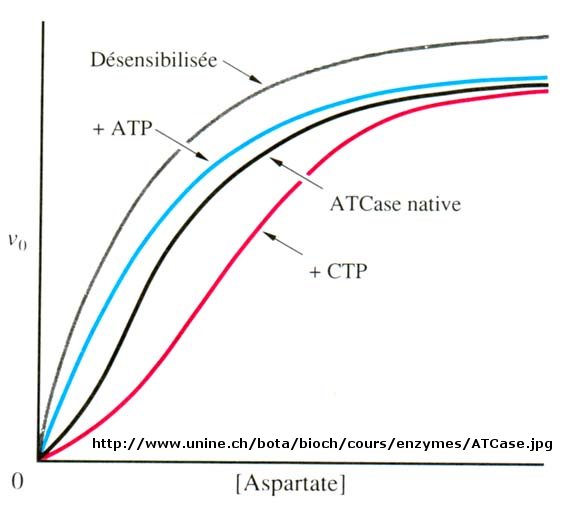 D4. Allosteric Enzymes Biology LibreTexts