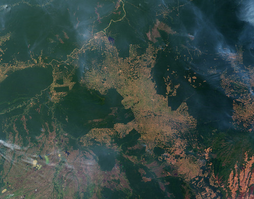 Satellite view of the Amazon showing large areas of deforestation.